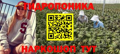 гидропоника Волжский