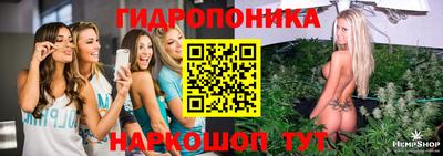 дмт Волгодонск